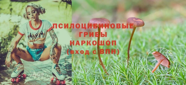 PSILOCYBIN Навашино